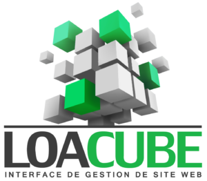 Logo_LOACUBE (1)